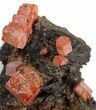 Red Vanadinite Crystals on Manganese Oxide - Morocco #38484-2